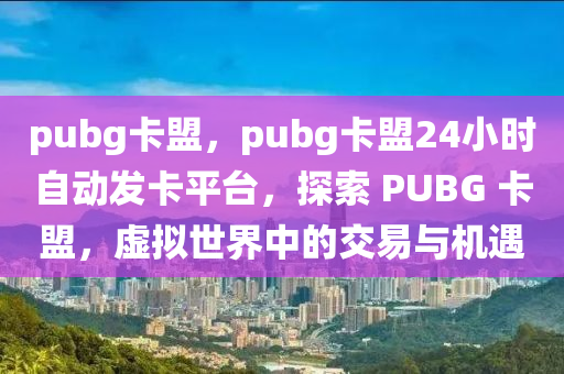 pubg卡盟，pubg卡盟24小时自动发卡平台，探索 PUBG 卡盟，虚拟世界中的交易与机遇