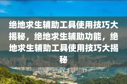 绝地求生辅助工具使用技巧大揭秘，绝地求生辅助功能，绝地求生辅助工具使用技巧大揭秘