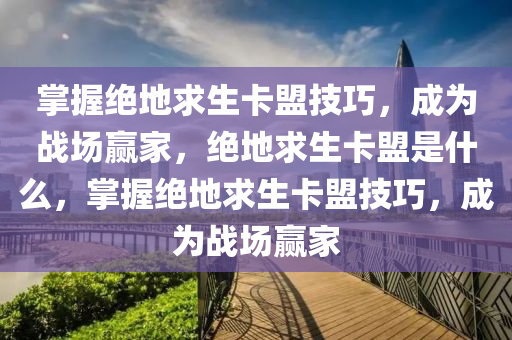 掌握绝地求生卡盟技巧，成为战场赢家，绝地求生卡盟是什么，掌握绝地求生卡盟技巧，成为战场赢家
