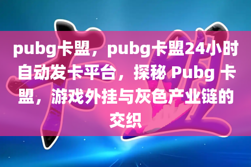 pubg卡盟，pubg卡盟24小时自动发卡平台，探秘 Pubg 卡盟，游戏外挂与灰色产业链的交织