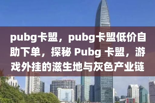 pubg卡盟，pubg卡盟低价自助下单，探秘 Pubg 卡盟，游戏外挂的滋生地与灰色产业链