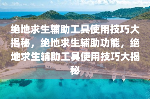 绝地求生辅助工具使用技巧大揭秘，绝地求生辅助功能，绝地求生辅助工具使用技巧大揭秘
