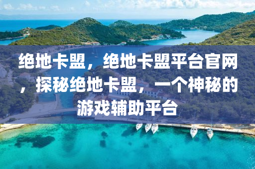 绝地卡盟，绝地卡盟平台官网，探秘绝地卡盟，一个神秘的游戏辅助平台