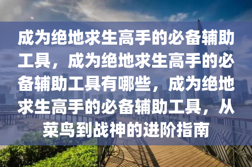 成为绝地求生高手的必备辅助工具，成为绝地求生高手的必备辅助工具有哪些，成为绝地求生高手的必备辅助工具，从菜鸟到战神的进阶指南