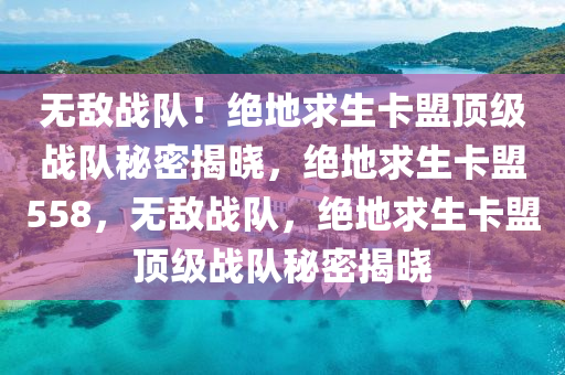 无敌战队！绝地求生卡盟顶级战队秘密揭晓，绝地求生卡盟558，无敌战队，绝地求生卡盟顶级战队秘密揭晓