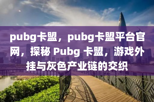 pubg卡盟，pubg卡盟平台官网，探秘 Pubg 卡盟，游戏外挂与灰色产业链的交织