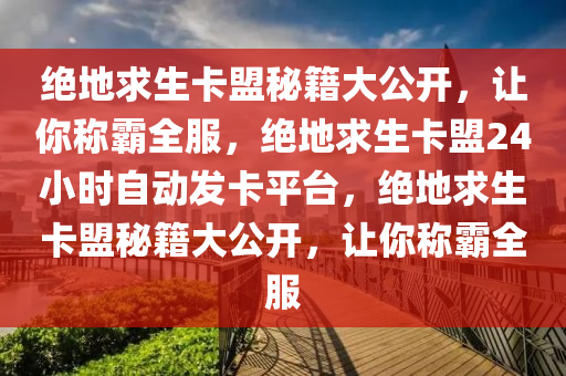 绝地求生卡盟秘籍大公开，让你称霸全服，绝地求生卡盟24小时自动发卡平台，绝地求生卡盟秘籍大公开，让你称霸全服