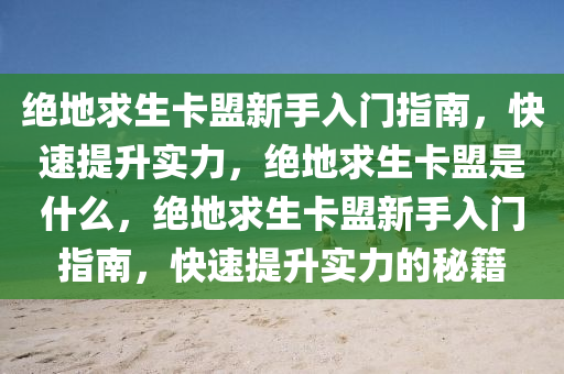绝地求生卡盟新手入门指南，快速提升实力，绝地求生卡盟是什么，绝地求生卡盟新手入门指南，快速提升实力的秘籍