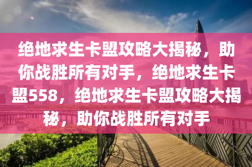 绝地求生卡盟攻略大揭秘，助你战胜所有对手，绝地求生卡盟558，绝地求生卡盟攻略大揭秘，助你战胜所有对手