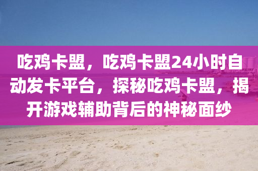 吃鸡卡盟，吃鸡卡盟24小时自动发卡平台，探秘吃鸡卡盟，揭开游戏辅助背后的神秘面纱