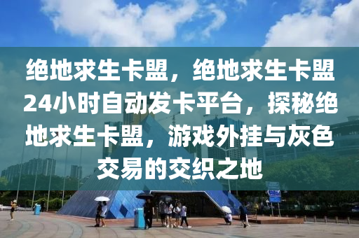 绝地求生卡盟，绝地求生卡盟24小时自动发卡平台，探秘绝地求生卡盟，游戏外挂与灰色交易的交织之地