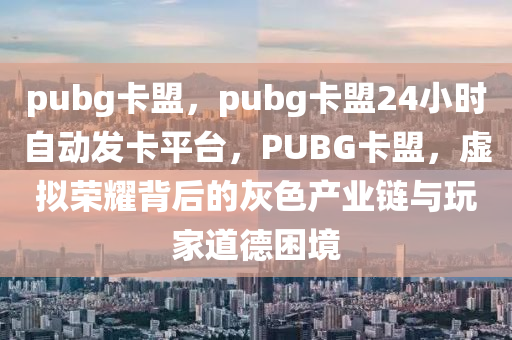 pubg卡盟，pubg卡盟24小时自动发卡平台，PUBG卡盟，虚拟荣耀背后的灰色产业链与玩家道德困境