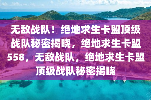 无敌战队！绝地求生卡盟顶级战队秘密揭晓，绝地求生卡盟558，无敌战队，绝地求生卡盟顶级战队秘密揭晓
