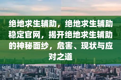 绝地求生辅助，绝地求生辅助稳定官网，揭开绝地求生辅助的神秘面纱，危害、现状与应对之道