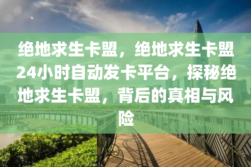 绝地求生卡盟，绝地求生卡盟24小时自动发卡平台，探秘绝地求生卡盟，背后的真相与风险