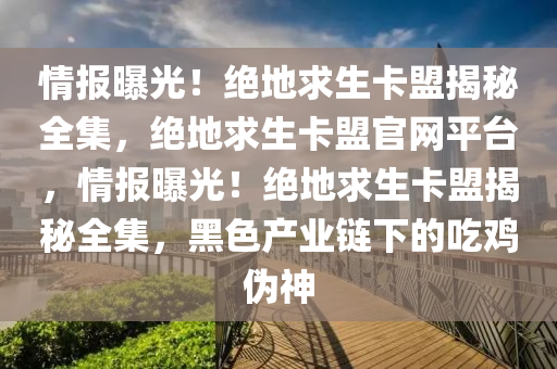 情报曝光！绝地求生卡盟揭秘全集，绝地求生卡盟官网平台，情报曝光！绝地求生卡盟揭秘全集，黑色产业链下的吃鸡伪神