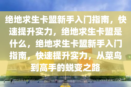 绝地求生卡盟新手入门指南，快速提升实力，绝地求生卡盟是什么，绝地求生卡盟新手入门指南，快速提升实力，从菜鸟到高手的蜕变之路