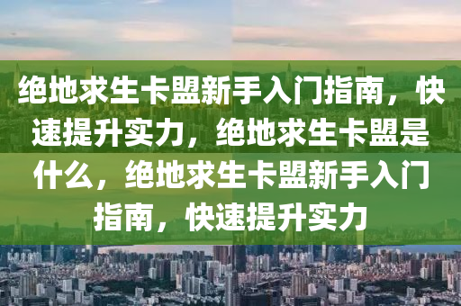 绝地求生卡盟新手入门指南，快速提升实力，绝地求生卡盟是什么，绝地求生卡盟新手入门指南，快速提升实力