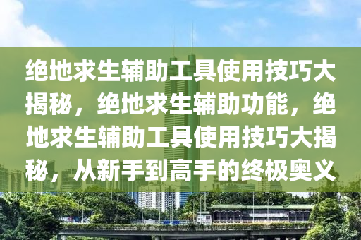 绝地求生辅助工具使用技巧大揭秘，绝地求生辅助功能，绝地求生辅助工具使用技巧大揭秘，从新手到高手的终极奥义