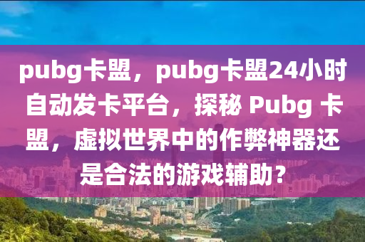 pubg卡盟，pubg卡盟24小时自动发卡平台，探秘 Pubg 卡盟，虚拟世界中的作弊神器还是合法的游戏辅助？