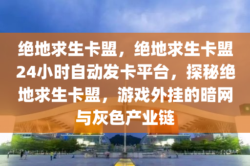 绝地求生卡盟，绝地求生卡盟24小时自动发卡平台，探秘绝地求生卡盟，游戏外挂的暗网与灰色产业链