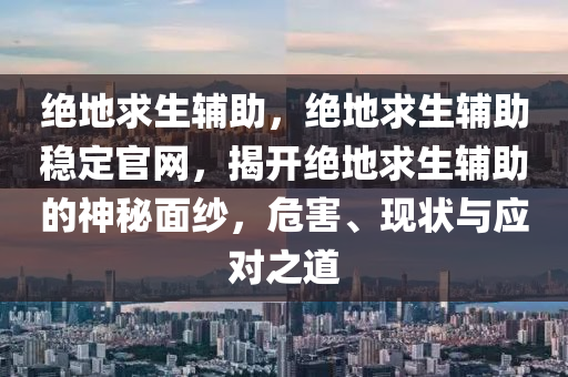 绝地求生辅助，绝地求生辅助稳定官网，揭开绝地求生辅助的神秘面纱，危害、现状与应对之道