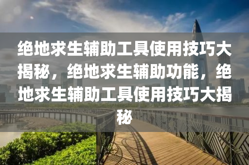 绝地求生辅助工具使用技巧大揭秘，绝地求生辅助功能，绝地求生辅助工具使用技巧大揭秘