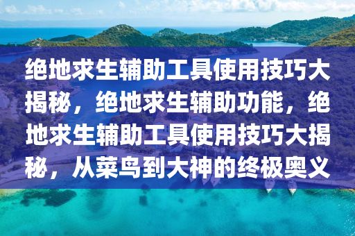 绝地求生辅助工具使用技巧大揭秘，绝地求生辅助功能，绝地求生辅助工具使用技巧大揭秘，从菜鸟到大神的终极奥义