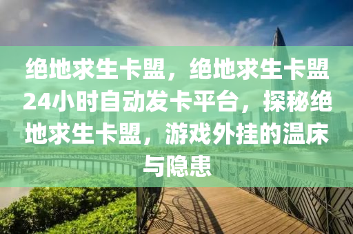 绝地求生卡盟，绝地求生卡盟24小时自动发卡平台，探秘绝地求生卡盟，游戏外挂的温床与隐患