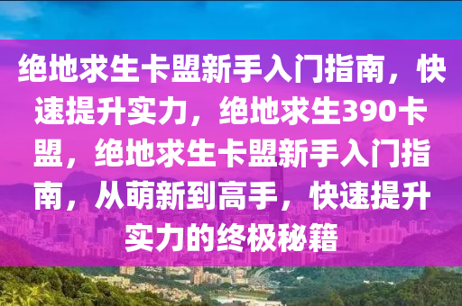 绝地求生卡盟新手入门指南，快速提升实力，绝地求生390卡盟，绝地求生卡盟新手入门指南，从萌新到高手，快速提升实力的终极秘籍
