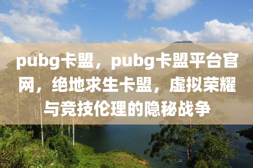 pubg卡盟，pubg卡盟平台官网，绝地求生卡盟，虚拟荣耀与竞技伦理的隐秘战争