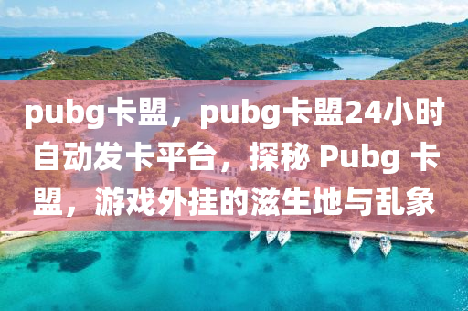pubg卡盟，pubg卡盟24小时自动发卡平台，探秘 Pubg 卡盟，游戏外挂的滋生地与乱象