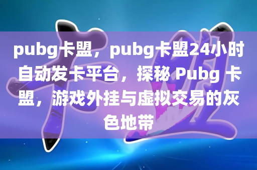 pubg卡盟，pubg卡盟24小时自动发卡平台，探秘 Pubg 卡盟，游戏外挂与虚拟交易的灰色地带