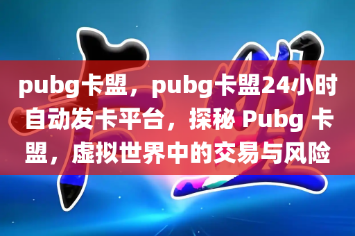 pubg卡盟，pubg卡盟24小时自动发卡平台，探秘 Pubg 卡盟，虚拟世界中的交易与风险