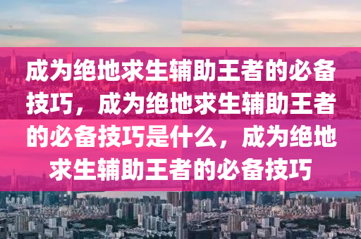 成为绝地求生辅助王者的必备技巧，成为绝地求生辅助王者的必备技巧是什么，成为绝地求生辅助王者的必备技巧