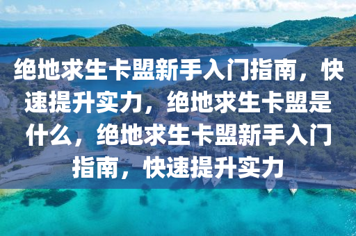 绝地求生卡盟新手入门指南，快速提升实力，绝地求生卡盟是什么，绝地求生卡盟新手入门指南，快速提升实力