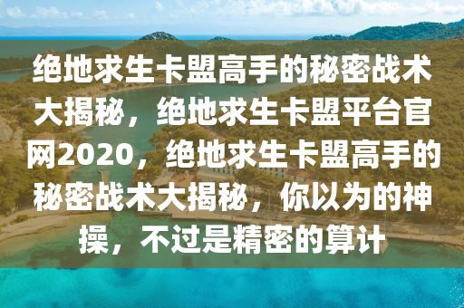 绝地求生卡盟高手的秘密战术大揭秘，绝地求生卡盟平台官网2020，绝地求生卡盟高手的秘密战术大揭秘，你以为的神操，不过是精密的算计