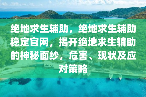 绝地求生辅助，绝地求生辅助稳定官网，揭开绝地求生辅助的神秘面纱，危害、现状及应对策略