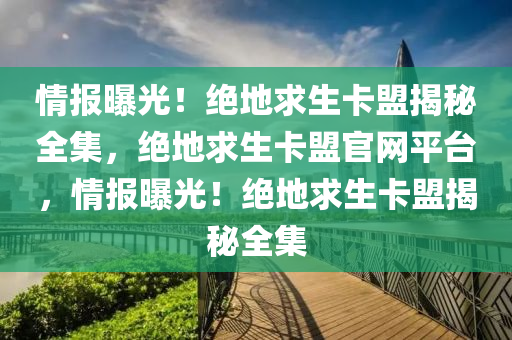 情报曝光！绝地求生卡盟揭秘全集，绝地求生卡盟官网平台，情报曝光！绝地求生卡盟揭秘全集