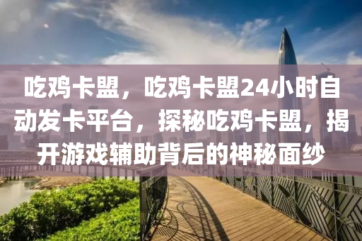 吃鸡卡盟，吃鸡卡盟24小时自动发卡平台，探秘吃鸡卡盟，揭开游戏辅助背后的神秘面纱