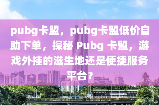 pubg卡盟，pubg卡盟低价自助下单，探秘 Pubg 卡盟，游戏外挂的滋生地还是便捷服务平台？