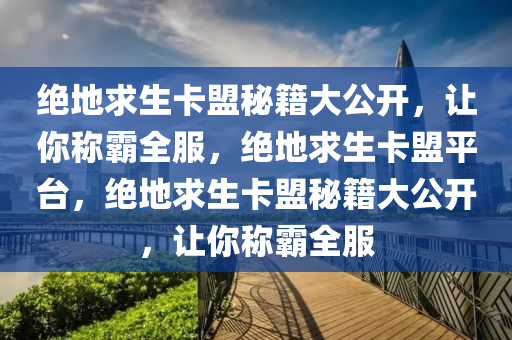 绝地求生卡盟秘籍大公开，让你称霸全服，绝地求生卡盟平台，绝地求生卡盟秘籍大公开，让你称霸全服