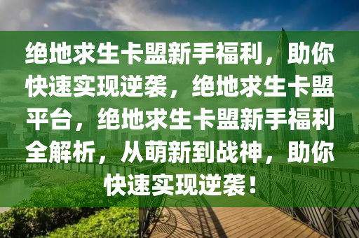 绝地求生卡盟新手福利，助你快速实现逆袭，绝地求生卡盟平台，绝地求生卡盟新手福利全解析，从萌新到战神，助你快速实现逆袭！