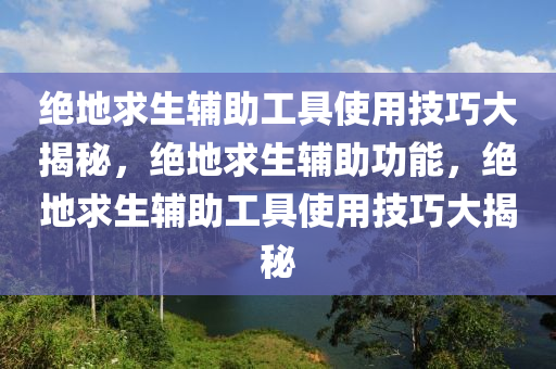 绝地求生辅助工具使用技巧大揭秘，绝地求生辅助功能，绝地求生辅助工具使用技巧大揭秘