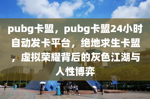 pubg卡盟，pubg卡盟24小时自动发卡平台，绝地求生卡盟，虚拟荣耀背后的灰色江湖与人性博弈