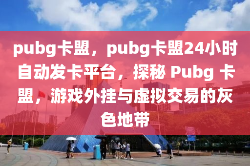 pubg卡盟，pubg卡盟24小时自动发卡平台，探秘 Pubg 卡盟，游戏外挂与虚拟交易的灰色地带