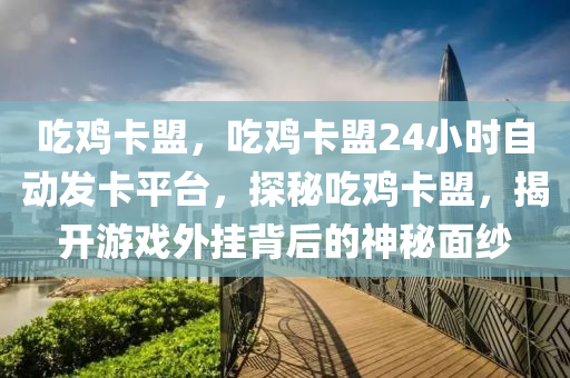 吃鸡卡盟，吃鸡卡盟24小时自动发卡平台，探秘吃鸡卡盟，揭开游戏外挂背后的神秘面纱