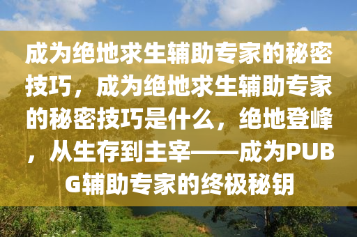 成为绝地求生辅助专家的秘密技巧，成为绝地求生辅助专家的秘密技巧是什么，绝地登峰，从生存到主宰——成为PUBG辅助专家的终极秘钥