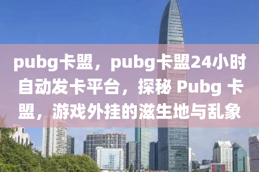 pubg卡盟，pubg卡盟24小时自动发卡平台，探秘 Pubg 卡盟，游戏外挂的滋生地与乱象