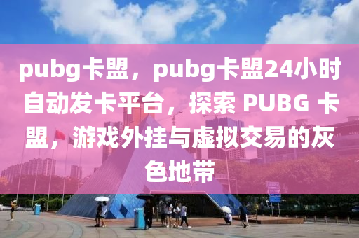 pubg卡盟，pubg卡盟24小时自动发卡平台，探索 PUBG 卡盟，游戏外挂与虚拟交易的灰色地带